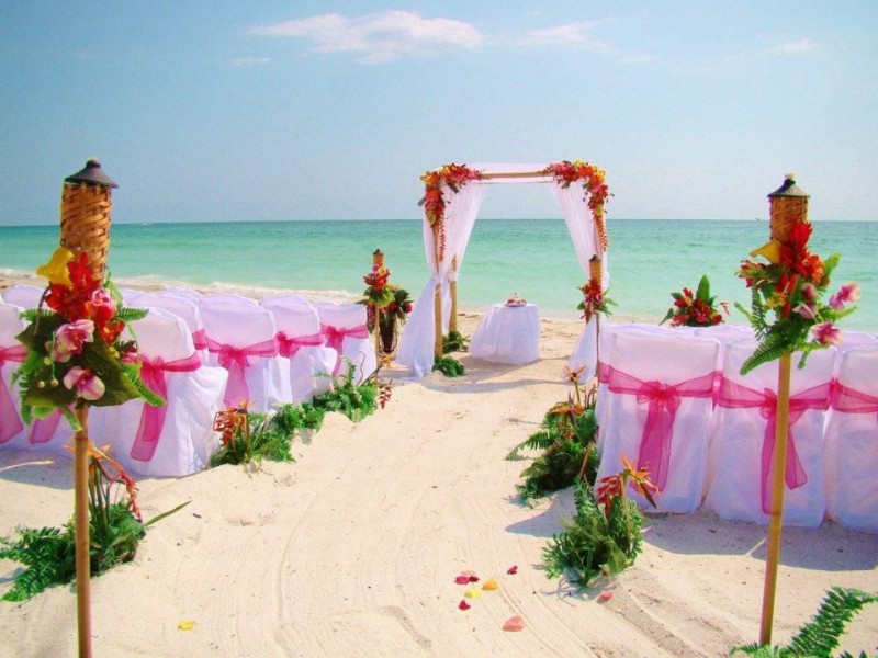 Simple to Spectacular Wedding Packages Sarasota and